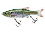 Live Blue Gill 130 SS Glide Bait - Molix