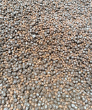 6 / 8mm Maxi Spd Mix Pellets 1kg