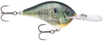 #10 Live Bluegill Dives To - Crankbait