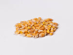 Yellow Maize (Whole) - MPW